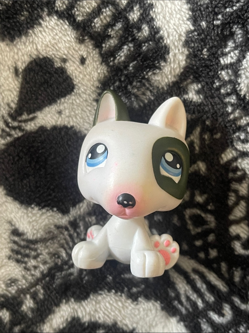 LPs bull terrier